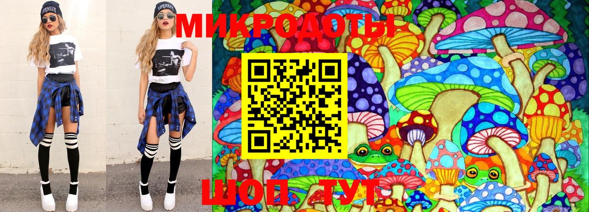 Галлюциногенные грибы Psilocybine cubensis Нарткала