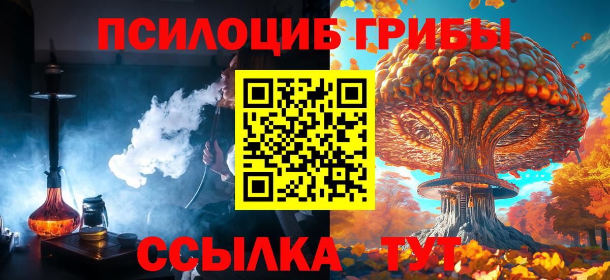 Нарткала  Галлюциногенные грибы ЛСД  Галлюциногенные грибы ЛСД  Вход с VPN 