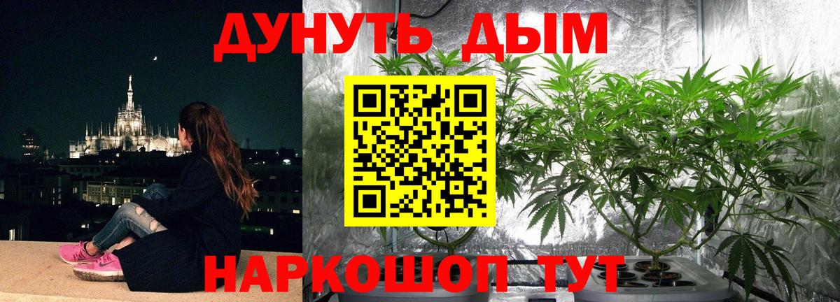 Бошки Шишки ГИДРОПОН  Шишки марихуана индика  Нарткала  Вход с VPN  Каннабис план 